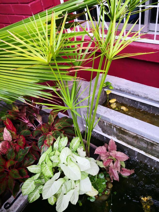 H&t Vintage Decor Rumah percutian